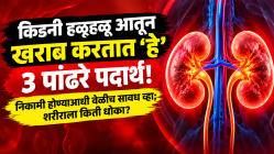 किडनी हळूहळू आतून खराब करतात ‘हे’ ३ पांढरे पदार्थ! निकामी होण्याआधी वेळीच सावध व्हा; तज्ज्ञांनी सांगितलं शरीराला किती धोका