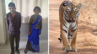 sheru pardhi tiger poacher arrested | bahelia gang tiger poaching news | शेरू पारधी वाघ शिकारी अटक | बहेलिया टोळी वाघ शिकार बातमी
