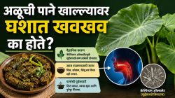 अळूची पाने खाल्ल्यावर घशात खवखव का होते? आहारतज्ज्ञांनी सांगितलं वैज्ञानिक कारण; ‘हा’ सोपा उपाय करा, खाज गायब होईल!