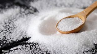 Low Sodium Salt High Blood Pressure guide | ICMR Salt Advice High BP Options news | लो सोडियम मीठ उच्च रक्तदाब पर्याय | आयसीएमआर मीठ सल्ला आरोग्य बातम्या