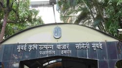 मुंबई कृषी उत्पन्न बाजार समितीच्या सचिवपदाचा अतिरिक्त कार्यभार राजाराम धोंडकर यांच्याकडे