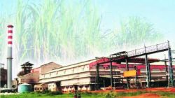 राष्ट्रीय सहकारी साखर कारखाना कार्यक्षमता पुरस्कारांमध्ये महाराष्ट्राचे वर्चस्व