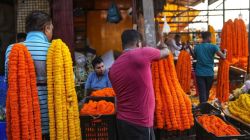 फूल बाजाराला बहर, दर तेजीत; गुलछडी, शेवंतीच्या दरांत दुपटीने वाढ