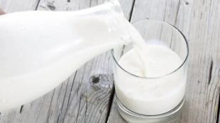 Alphox 200 Chemical Milk Adulteration | Maharashtra Milk Adulteration FDA Alert Pune | दुधात अल्फॉक्स २०० रसायनाची भेसळ | महाराष्ट्र अन्न औषध प्रशासन दूध भेसळ बातमी