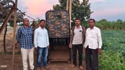 जुन्नरमधील चिमणवाडीत तीन बिबट्यांचा मुक्त संचार; नागरिकांमध्ये घबराट