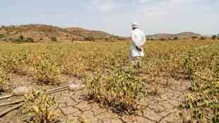 Maharashtra Rain Update Kharif Crop Damage Report | Maharashtra Drought Affected Taluka List Kharif Season