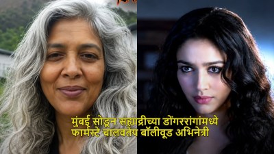 “मी हिंदू असून मुस्लीम व्यक्तीशी लग्न केलंय”; बॉलीवूड सोडणाऱ्या अभिनेत्रीचा खुलासा