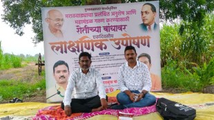 Marathwada Development Backlog