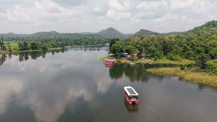 Pench Tiger Reserve Solar Boat Safari | Kolitmara Pench River Boat Safari Online Booking | पेंच व्याघ्रप्रकल्प सोलर बोट सफारी | कोलीतमारा पेंच नदी जलसफारी