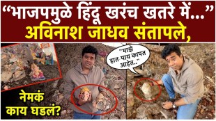 mulund-dumping-ground-ganesh-idols-avinash-jadhav-administration