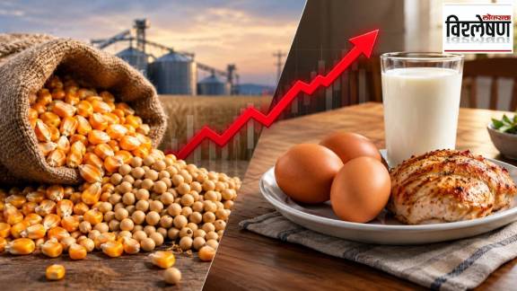 Egg Chicken Milk Price Hike Poultry Feed Maize Soybean Meal Inflation Marathi News