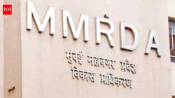 ठाणे खाडी किनारा मार्ग टप्पा २ अडचणीत :फ्लेमिंगोच्या अधिवासासह ३,७५४ कांदळवनाला धक्का