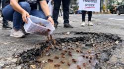 खड्ड्यांमध्ये जिवंत झुरळ सोडून प्रशासनाचा निषेध, सहार मार्गावर वॉचडॉग फाऊंडेशनचे आंदोलन