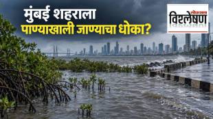 mumbai sea level rise threat | un report climate change mumbai | bmc climate action plan | mumbai wetlands mangroves conservation