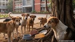 श्वानांना अन्न पुरवणाऱ्यांना मुंबई विद्यापीठाच्या कलिना परिसरात प्रवेशबंदी