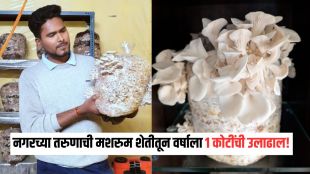 Mushroom Farming Business success story Dhananjay Vikhe Patil | Mushroom Sheti Success Story income tips | मशरूम शेती व्यवसाय यशोगाथा धनंजय विखे पाटील | मशरूम शेतीतून वर्षाला १ कोटींची उलाढाल