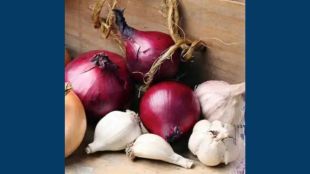 mira-road-seven-square-academy-onion-garlic-ban | narendra-mehta-school-controversy | mns-protest-mira-bhayandar | maharashtra-school-news-updates