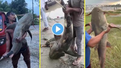 नेपाळ पूरातून बिहारमध्ये वाहून आले मासे खाल्ल्यानंतर अनेक लोक आजारी; सरकारने दिला इशारा