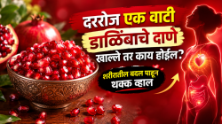 दररोज एक वाटी डाळिंबाचे दाणे खाल्ले तर काय होईल? शरीरातील बदल पाहून थक्क व्हाल, तज्ज्ञांनी केला खुलासा