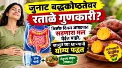 जुनाट बद्धकोष्ठतेवर रताळे गुणकारी? कित्येक दिवस आतड्यात सडणारा मल येईल बाहेर, जाणून घ्या खाण्याची योग्य पद्धत