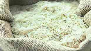Rice Production Drop in India USDA Report | USDA Report Rice India supply update