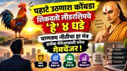 पहाटे उठणारा कोंबडा शिकवतो लीडरशिपचे ‘हे’ ४ धडे; चाणक्य नीतीचा हा मंत्र प्रत्येक मॅनेजरसाठी ठरेल गेमचेंजर!