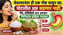 जेवल्यानंतर ही एक गोष्ट चावून खा, पोटातील अन्न सडणार नाही, गॅस, अ‍ॅसिडिटी अन् अपचन मिनिटांत होईल गायब!