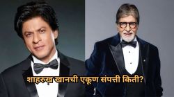 शाहरुख खान ठरला भारतातील सर्वात श्रीमंत अभिनेता; अमिताभ बच्चन, सलमान खान, हृतिक रोशन कितव्या स्थानी? जाणून घ्या एकूण संपत्ती…