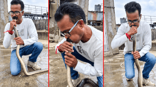 Snake CPR Gujarat Vapi Rescue Video | Snake Saved by CPR in Gujarat Factory