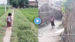 “मी रोज शाळेत येईन, मला ट्रायसायकल द्या”, लंगडत ४०० मीटर पार करणाऱ्या रागिणीचा VIDEO पाहून डोळे पाणावतील!