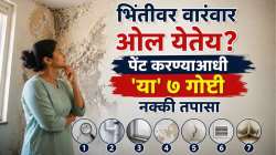 छत गळत नसले तरी भिंतीवर दिसतेय ओल? १ मिनिटात ‘अशी’ ओळखा गळतीची खरी कारणं