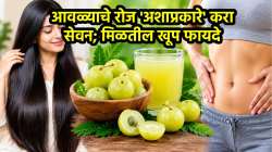 केस होतील लांबसडक, पोट होईल एकदम साफ! रोज ‘अशाप्रकारे’ करा आवळ्याचे सेवन; मिळतील खूप फायदे