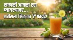 सकाळी सकाळी आवळ्याचा रस प्यायल्याने कोणते आजार बरे होऊ शकतात? डॉक्टरांनी सांगितले ४ महत्त्वाचे फायदे