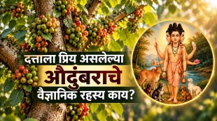 Audumbar tree significance