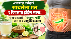 आतड्यात वर्षानूवर्ष साचलेला मल १ दिवसात होईल साफ! रोज सकाळी ‘रिकाम्या पोटी’ करा हा १ आयुर्वेदिक उपाय
