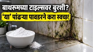 Removing mold stains from bathroom walls and tiles using simple home cleaning methods