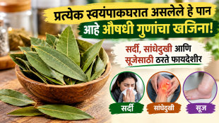 Health benefits of bay leaves