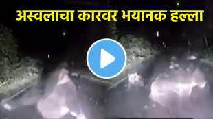 Bear Attacks On Car Shocking Video