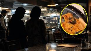 Borivali Hotel Dosa Rat Case Extortion News | Mumbai Police Action In Borivali Hotel Extortion Case | बोरिवली हॉटेल डोसा उंदीर प्रकरण एफडीए कारवाई | बोरिवली हॉटेल मालकाकडे २५ लाखांची खंडणी गुन्हा