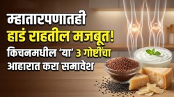 वय वाढेल पण हाडे कधीच दुखणार नाहीत! कॅल्शियमसाठी ‘हे’ ३ पदार्थ खा; वयाच्या साठीतही हाडं राहतील लोखंडासारखी मजबूत!