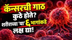 शरीरात ‘या’ ६ ठिकाणी होते कॅन्सरची गाठ? वेळेवर कशी ओळखाल? जाणून घ्या साधे संकेत!