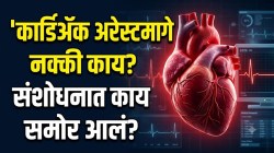 नानांच्या अचानक निधनानंतर आरोग्यविषयक प्रश्न ऐरणीवर; कार्डिअ‍ॅक अरेस्टचा धोका नेमका कशामुळे? संशोधनातून कारणं आली समोर!