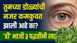 डोळ्यांनी धूसर दिसतंय? लांबचं स्पष्ट दिसत नाही? ‘ही’ हिरवी भाजी ३ पद्धतींनी खा; डोळे राहतील चांगले-तीक्ष्ण, नंबरचा चश्मा कायमचा जाईल