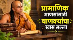 ‘एवढंही साधं राहू नका’ असं का म्हणतात? सरळ झाडं आणि चांगल्या माणसांचं उदाहरण देत चाणक्यांनी दिला मोलाचा सल्ला