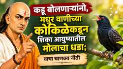 कडू बोलणाऱ्यांनो, मधुर वाणीच्या कोकिळेकडून शिका आयुष्यातील मोलाचा धडा; वाचा चाणक्य नीती