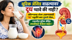 यूरिक ॲसिड वाढल्यावर दूध प्यावे की नाही? संधीवाताचा धोका टाळण्यासाठी ‘या’ पद्धतीने करा दुधाचे सेवन, रक्तातील यूरिक ॲसिड लघवीवाटे फेकेल बाहेर!
