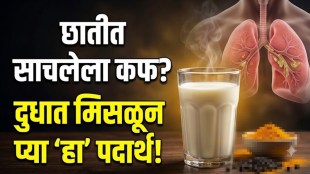 Home remedies for chest congestion featuring turmeric milk, ginger, honey and black pepper to help relieve mucus buildup