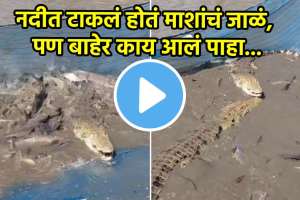 Crocodile In Fishing Net Shocking Video