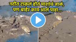मासेमारीसाठी गेले अन् जाळ्यात सापडले खतरनाक प्राणी; पाहून मच्छीमार भयभीत! पाहा, थरारक VIDEO