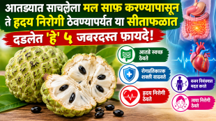 custard apple benefits